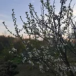 Cascina Argo * Cantarana
