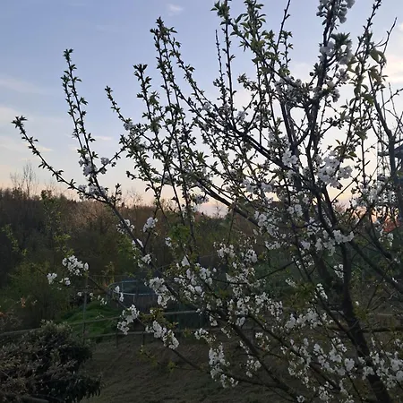Cascina Argo * 칸타라나