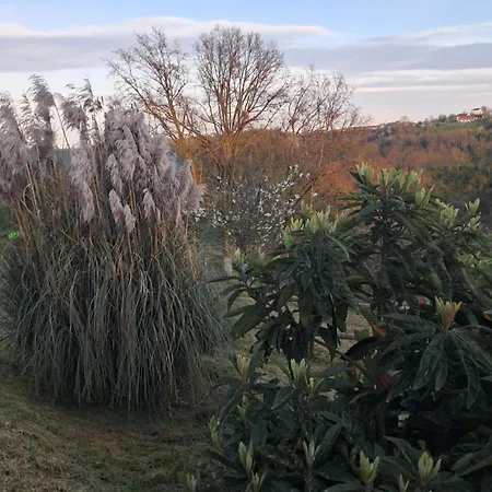 Cascina Argo