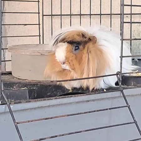 Cascina Argo Country house