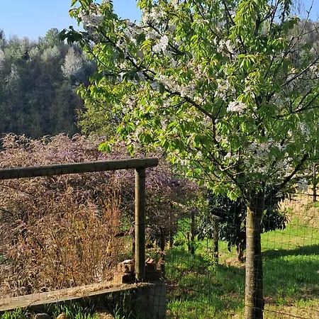 Casa rural Cascina Argo Cantarana