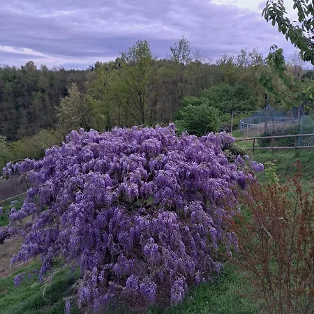 Lantställe Cascina Argo Cantarana